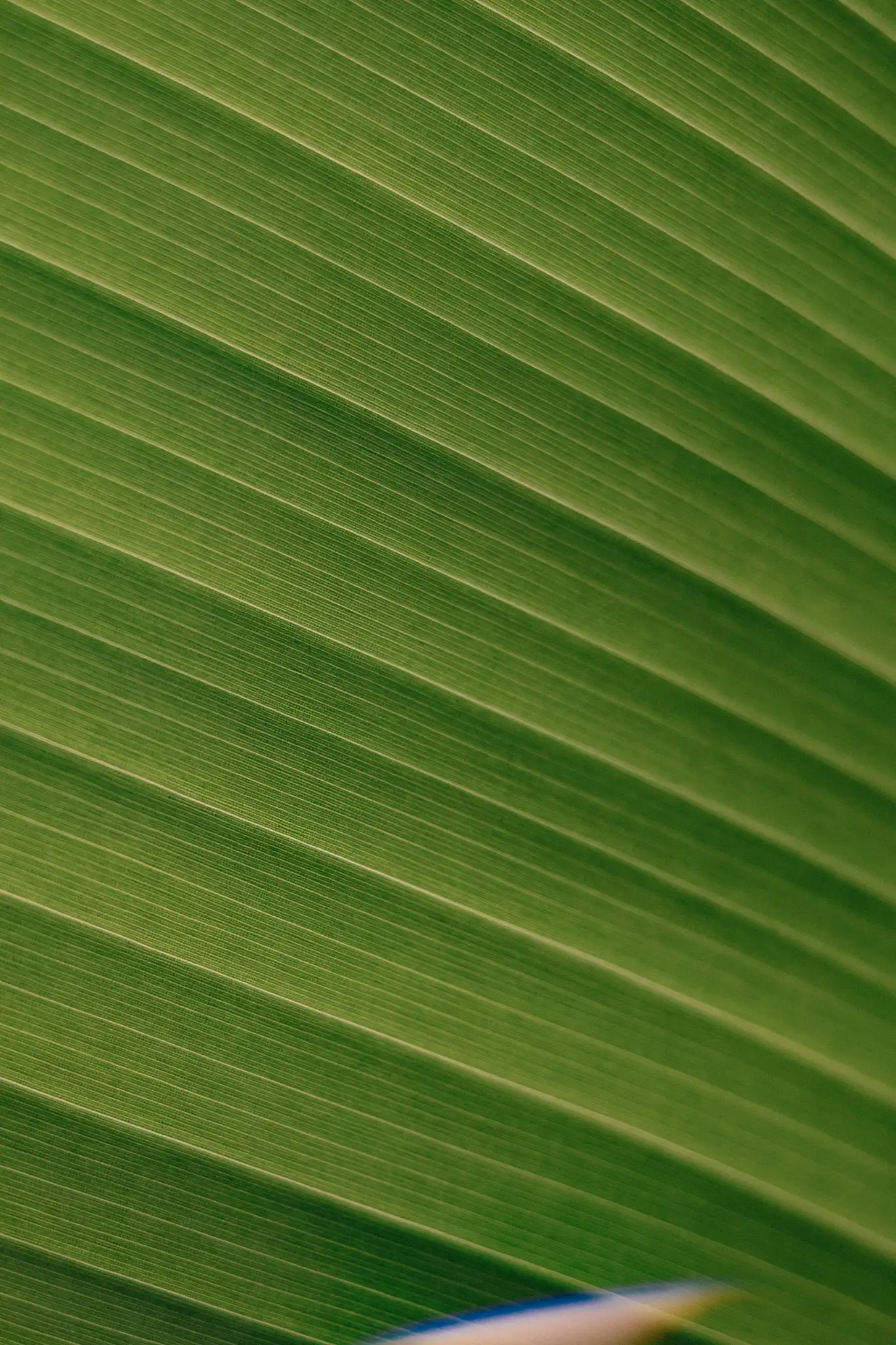 60