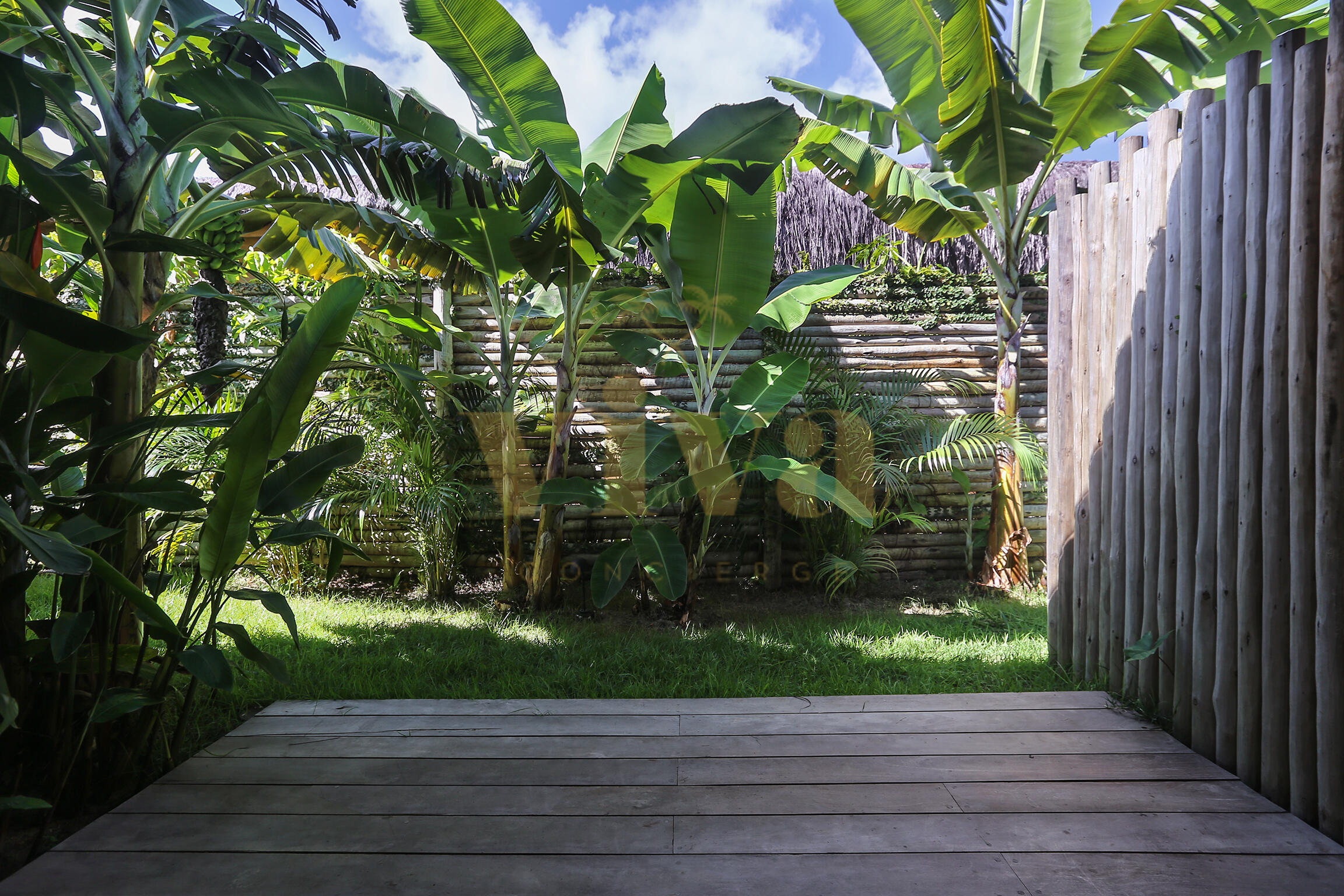 70_IMG_7411