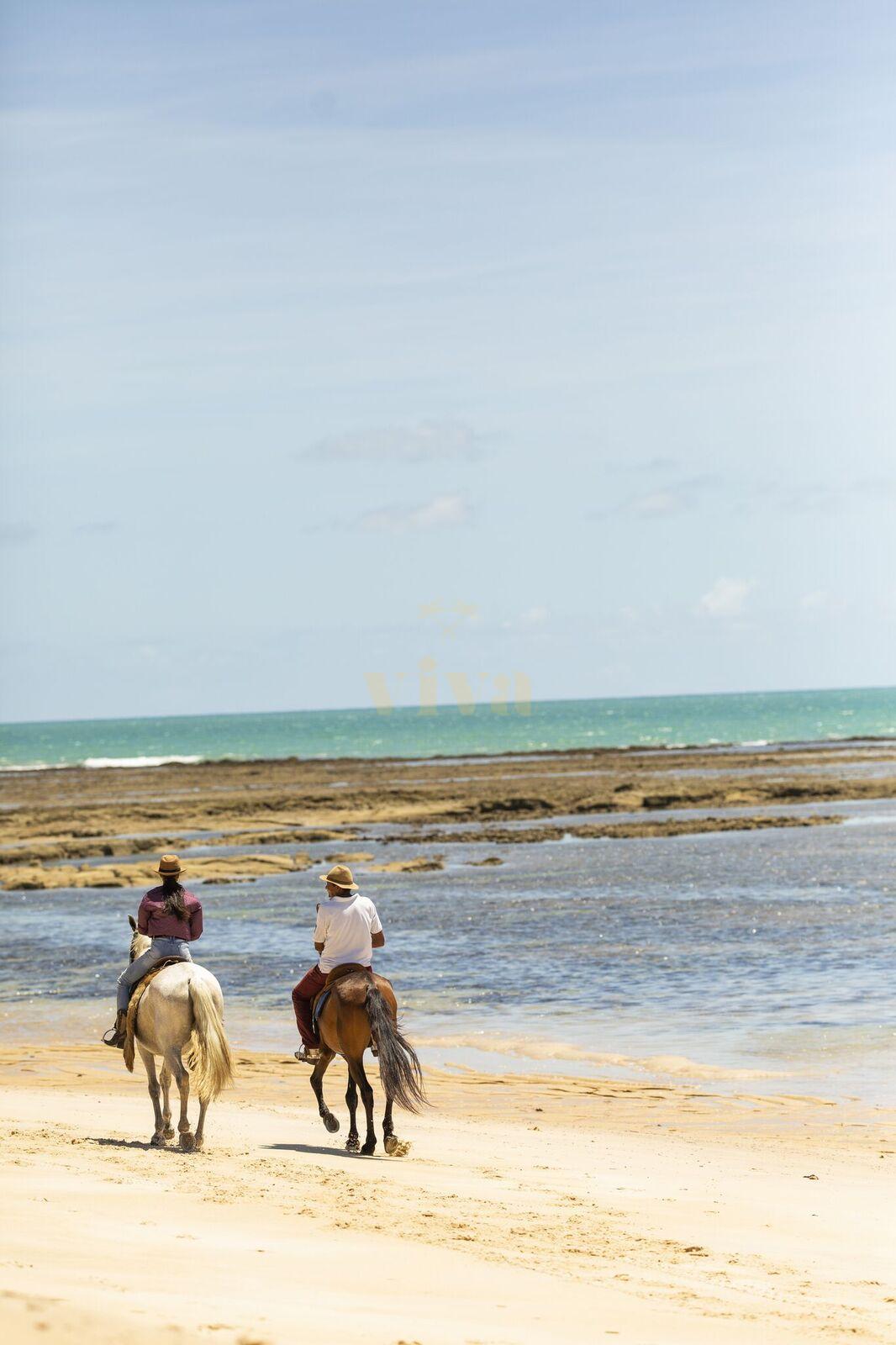 Apoio-de-praia-passeio-a-cavalo..-2