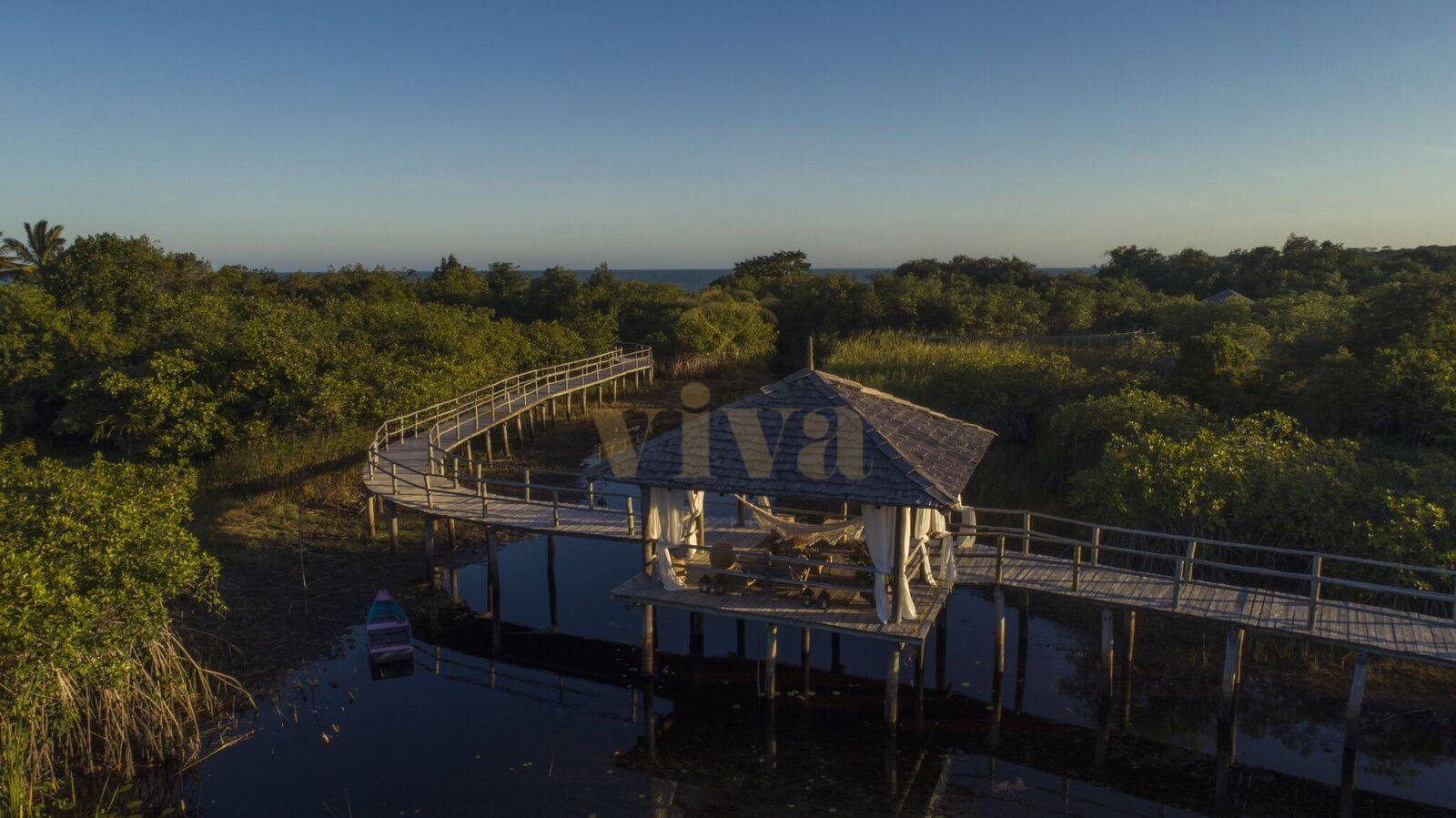 Ponte-sobre-o-mangue-22