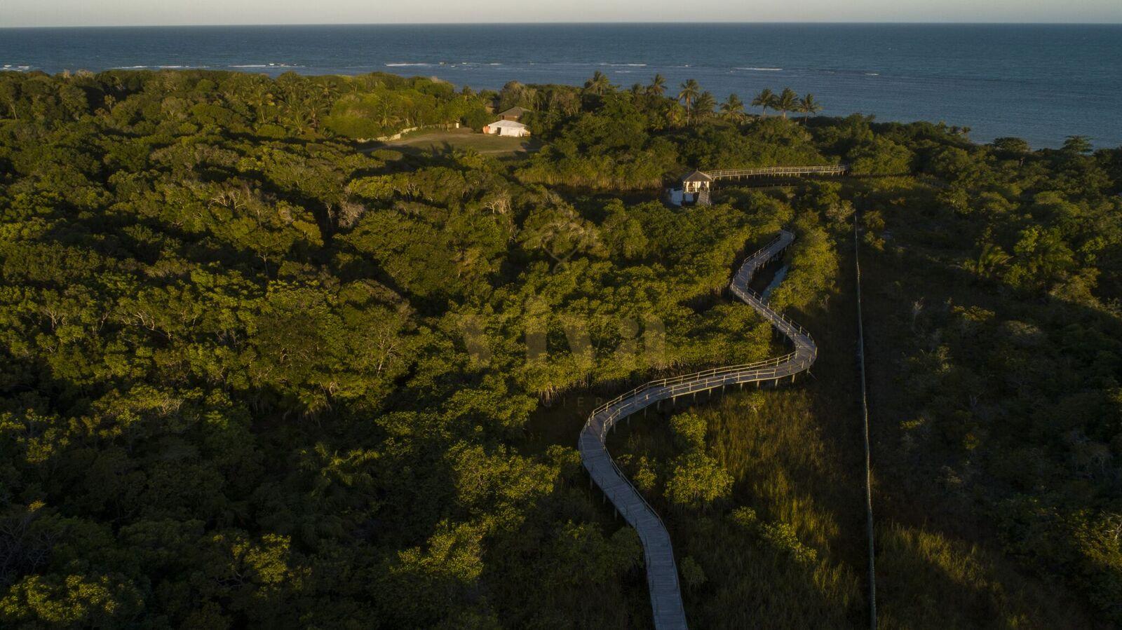 Ponte-sobre-o-mangue-24