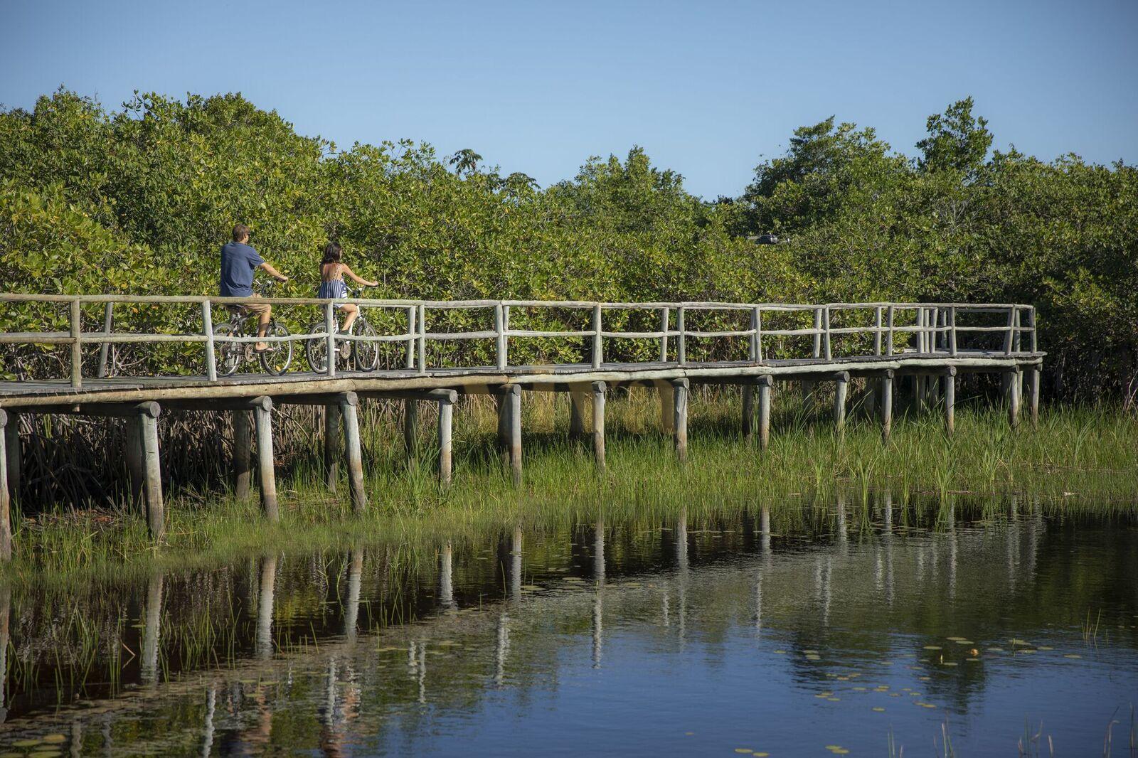 Ponte-sobre-o-mangue-27-2