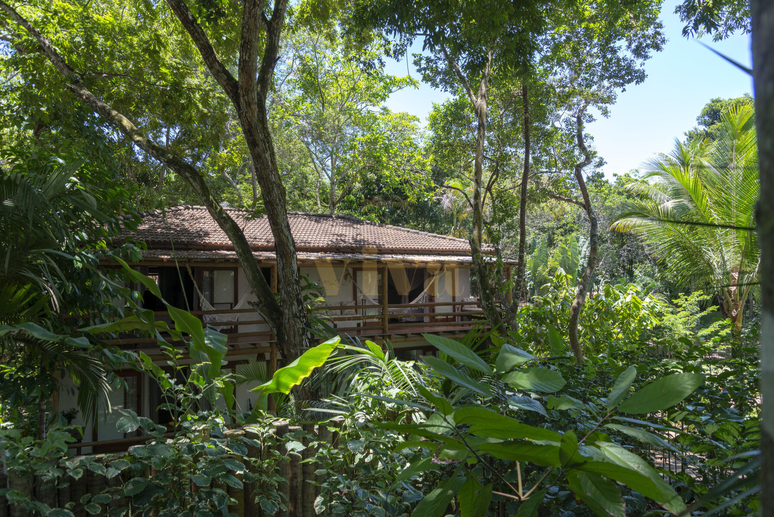 T.Reines_TRE0469_ALAFIA-2-scaled