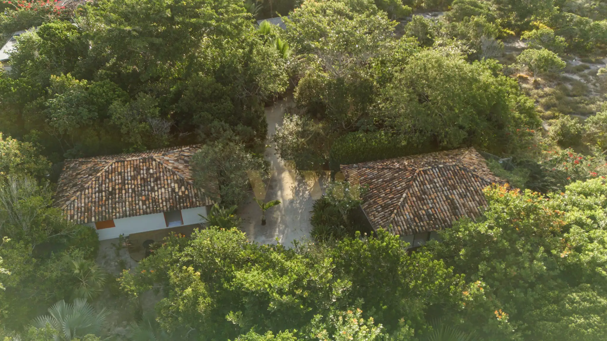 DJI_20240401055759_0312_D-scaled